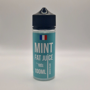 Fat Juice VAPORAMA Mint 2