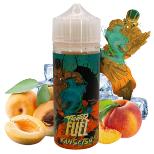 Fighter Fuel kansetsu