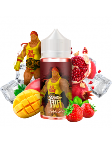 Hogano Fighter Fuel