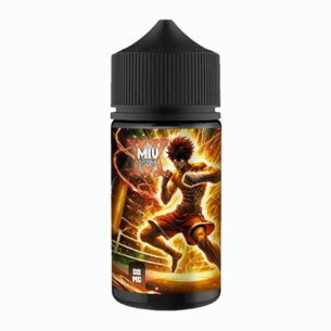 Baki Puch 100ml Miv